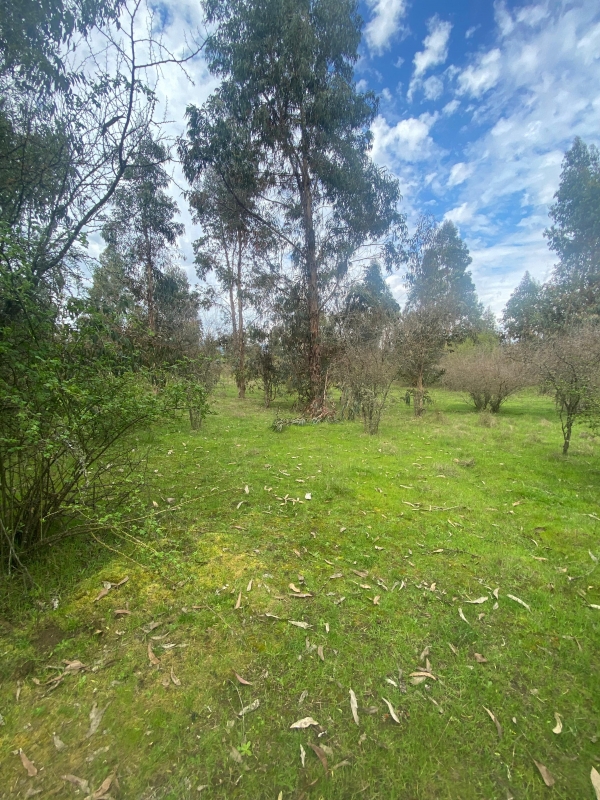 Se Vende Hermosa Parcela en los Boldos