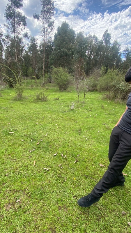 Se Vende Hermosa Parcela en los Boldos