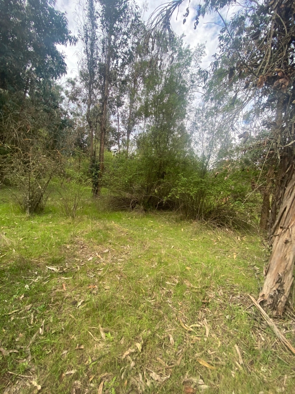 Se Vende Hermosa Parcela en los Boldos