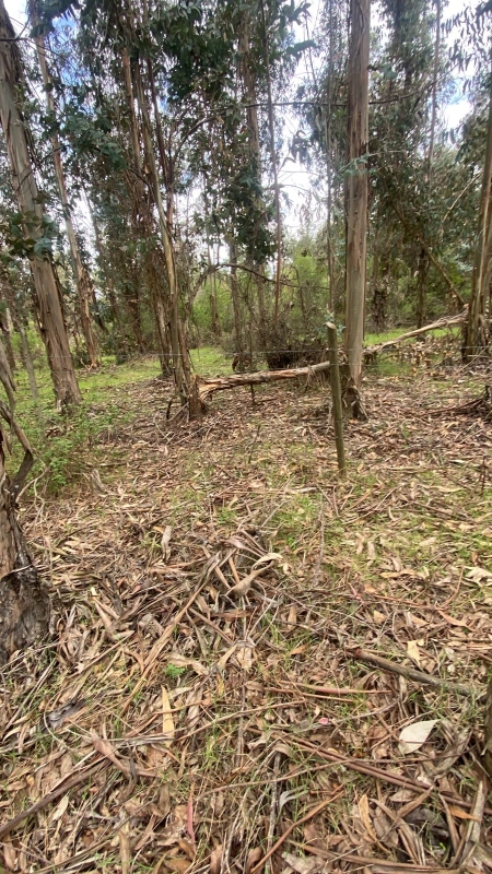 Se Vende Hermosa Parcela en los Boldos