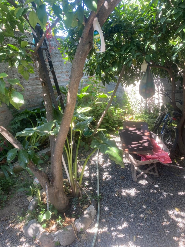 Se Vende Casa Faustino Gonzales