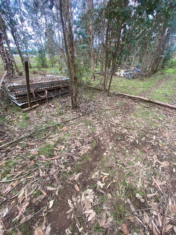 Se Vende Hermosa Parcela en los Boldos