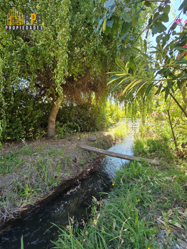 Se Vende Parcela de 5.000M² Con Casa en Orilla de Maule.