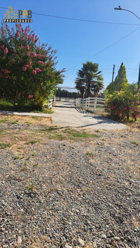Se Vende Parcela de 5.000M² Con Casa en Orilla de Maule.