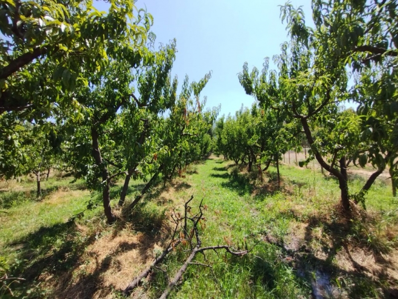 Casa Nueva en Parcela, Exclusivo Sector, el Tambo