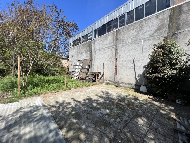 Local Comercial en Curico