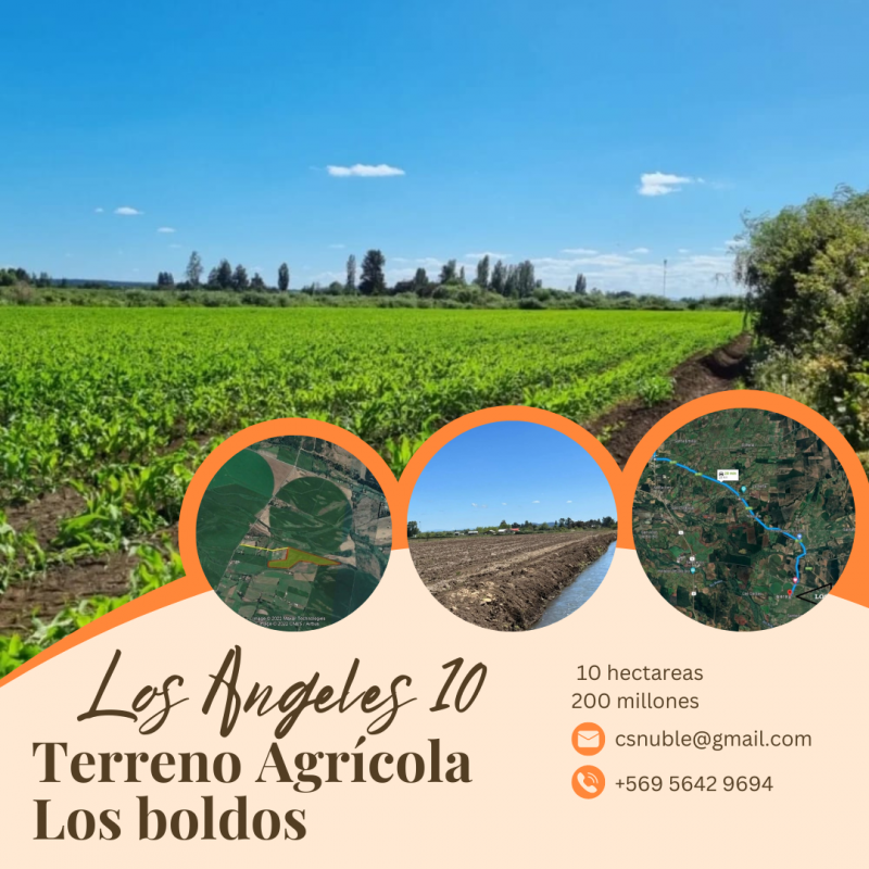10 HECTÁREAS TERRENO AGRICOLA  LOS BOLDOS , LOS ANGELES