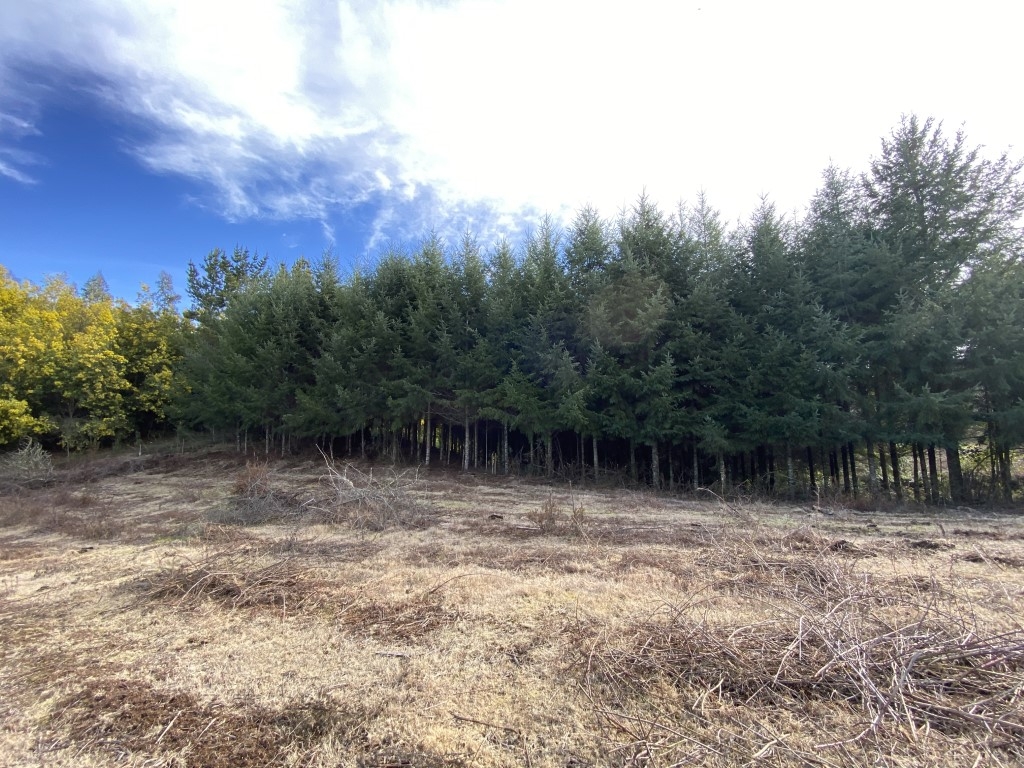 Terreno 1,9 hectáreas en la zona de Loncoche ( Mapuche )