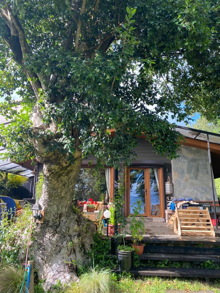 Casa orilla Lago Pucón Villarrica