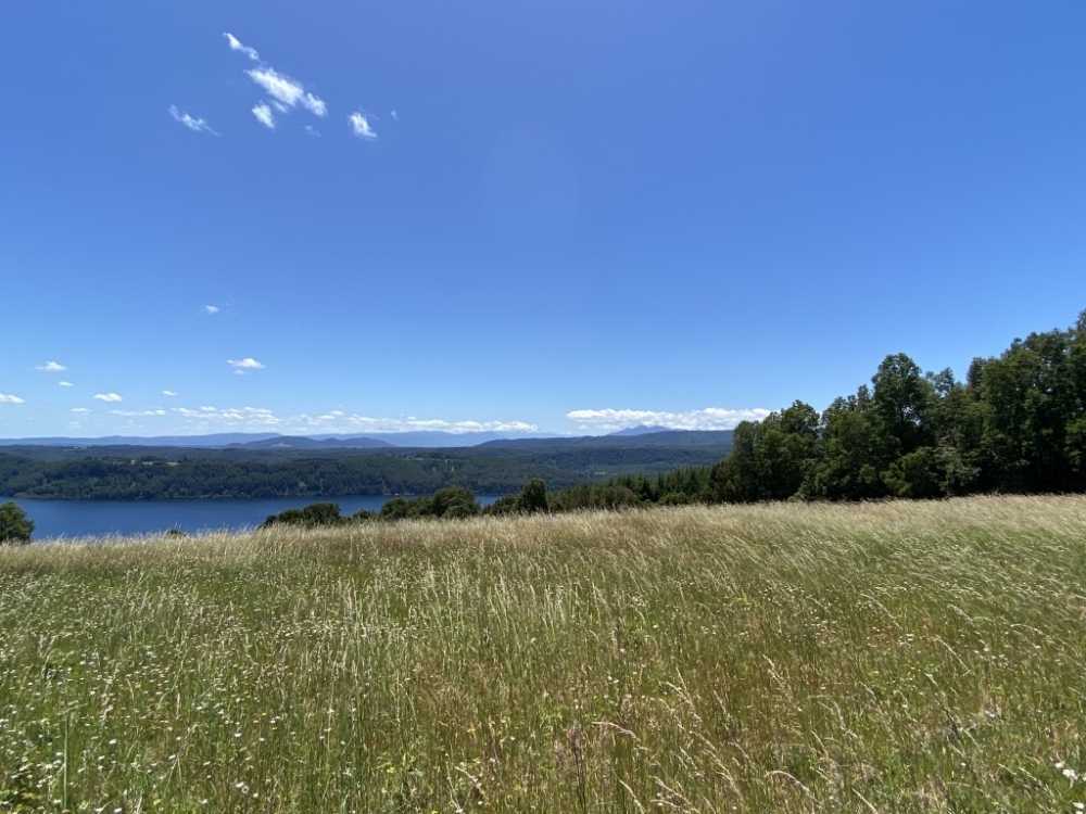 Exclusivas parcelas con orilla y acceso al Lago Huilipilun