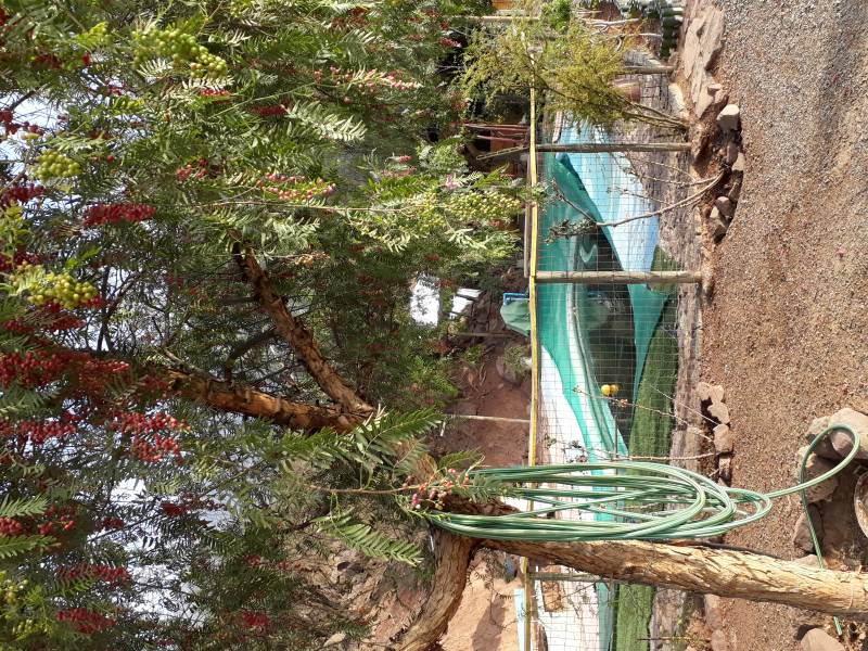 Tres Hermosas Parcelas A 40 Minutos de Santiago