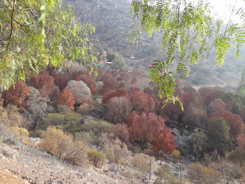 Tres Hermosas Parcelas A 40 Minutos de Santiago