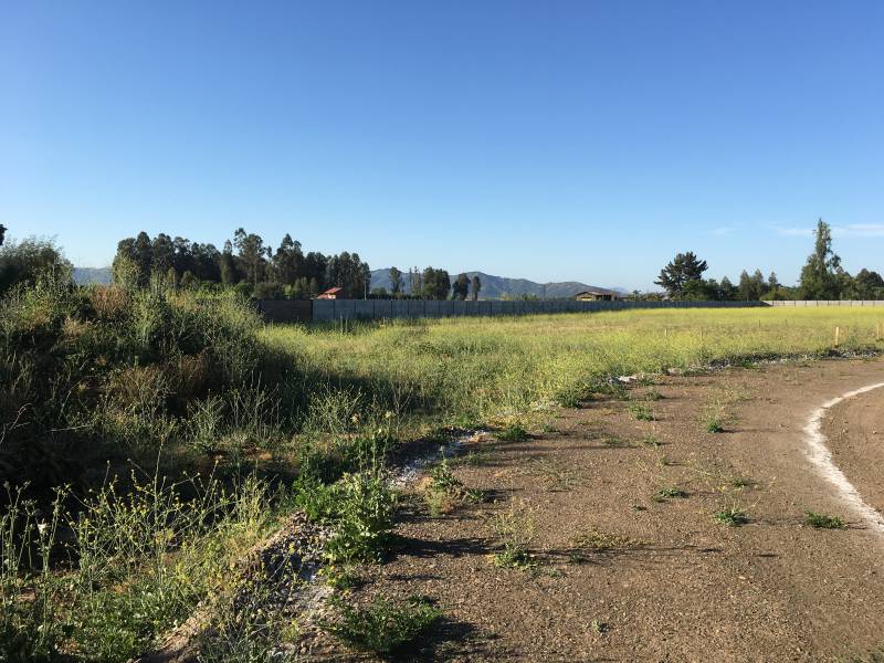 Inversionistas del País - Vendo Proyecto Parque