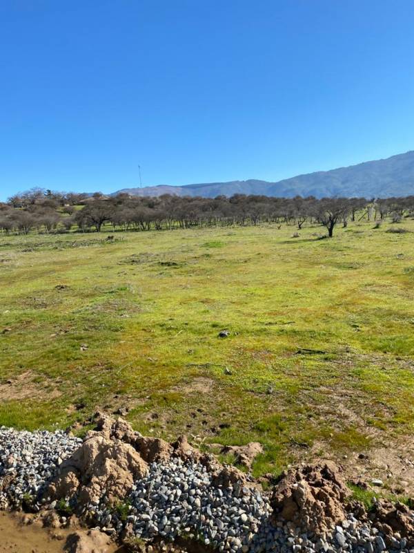 Vendo Parcelas Ruta los Conquistadores