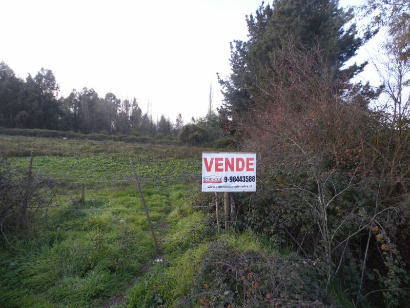 Hermosa parcela a orilla de ruta L -32, camino Palmilla.