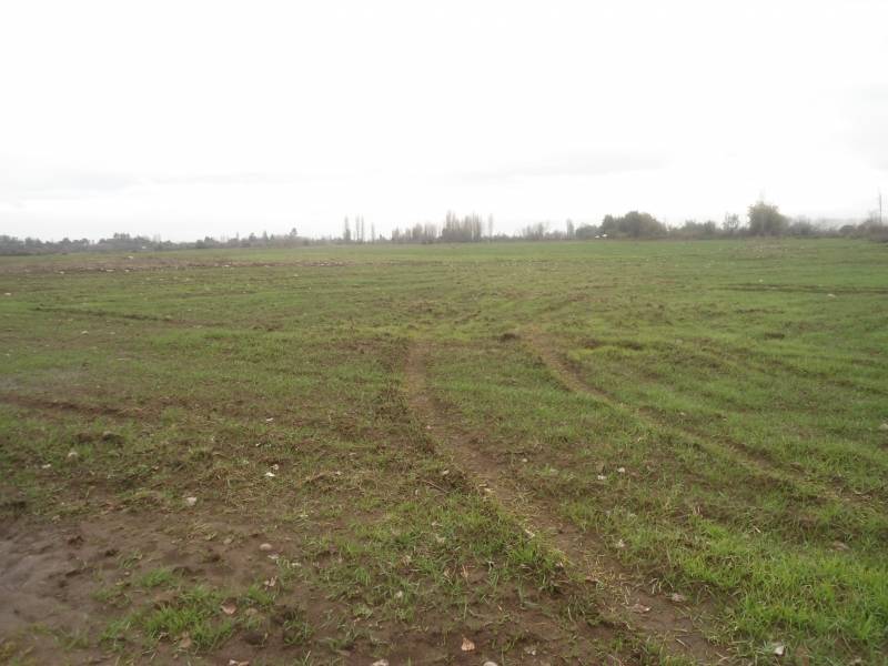 Excelente parcela de 25,5 hectáreas, apto para nogales