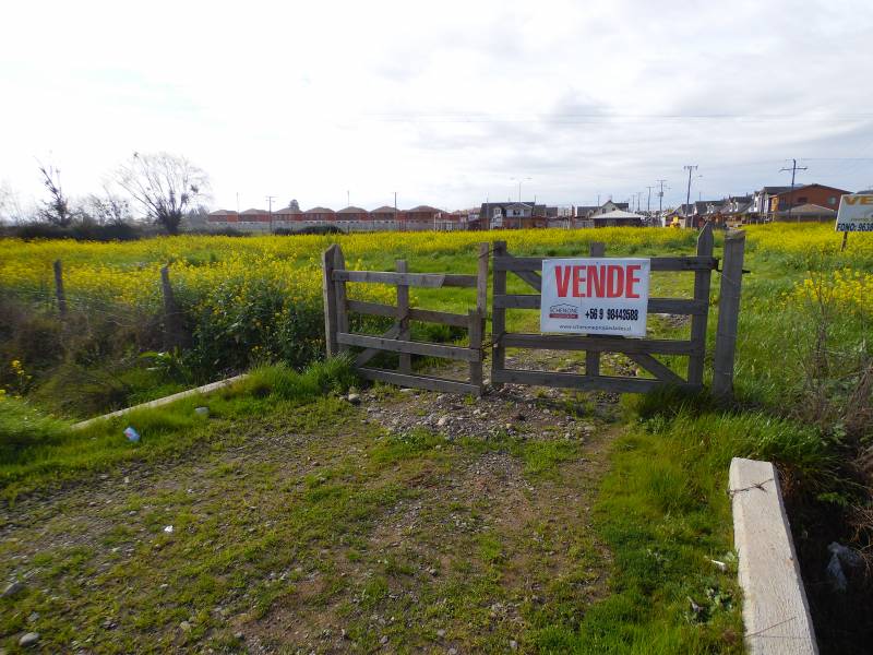 Terreno de 7.600 m2, en av. circunvalación norte, linares