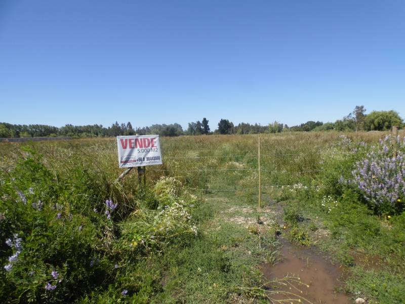 Parcela de agrado, a sólo 8 kilómetros plaza de linares