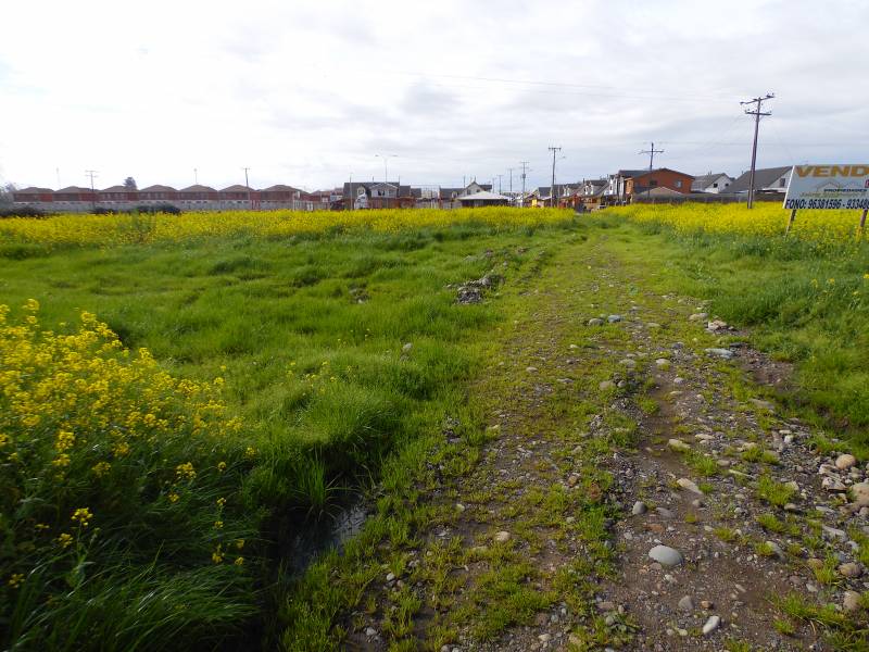 Terreno de 7.600 M2, en Av. Circunvalación Norte, Linares