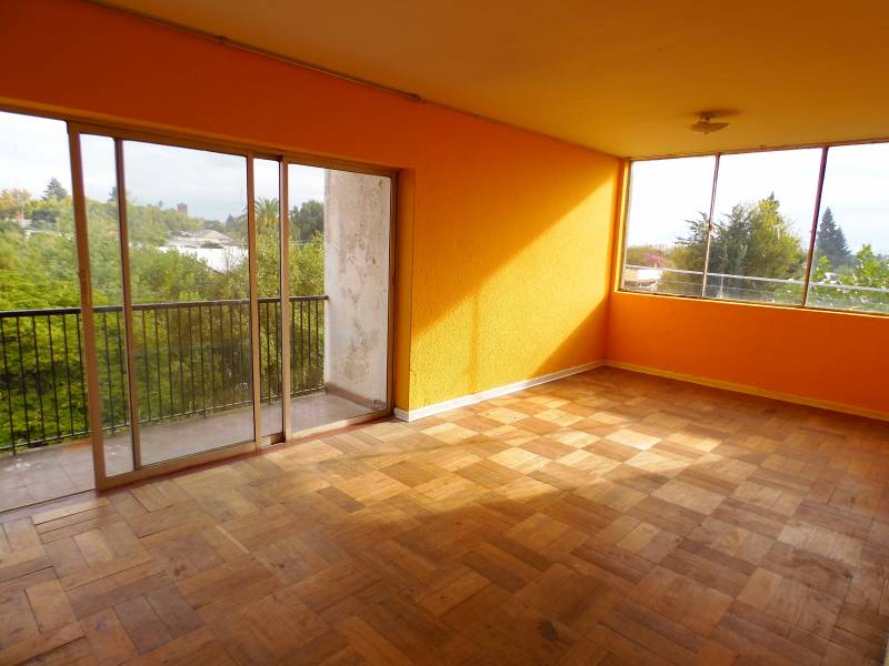 Amplio departamento, luminoso, en central ubicación, Linares