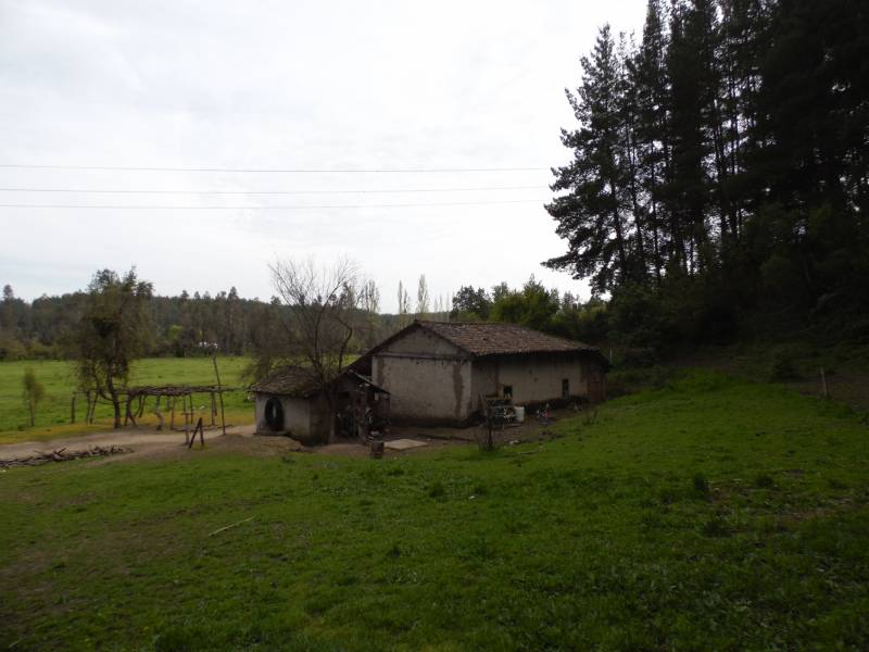 Hermoso Campo de 33 Hectáreas, en Longaví