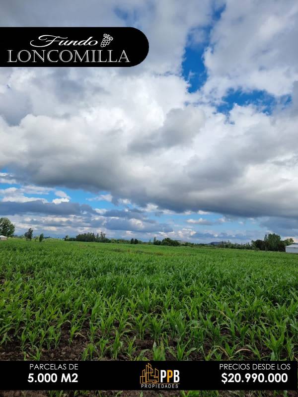 Proyecto Fundo Loncomilla excelente plusvalía y conectividad