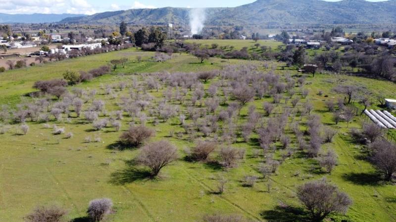 Terreno 10,20 Hectareas en Pleno Centro de Villa Prat