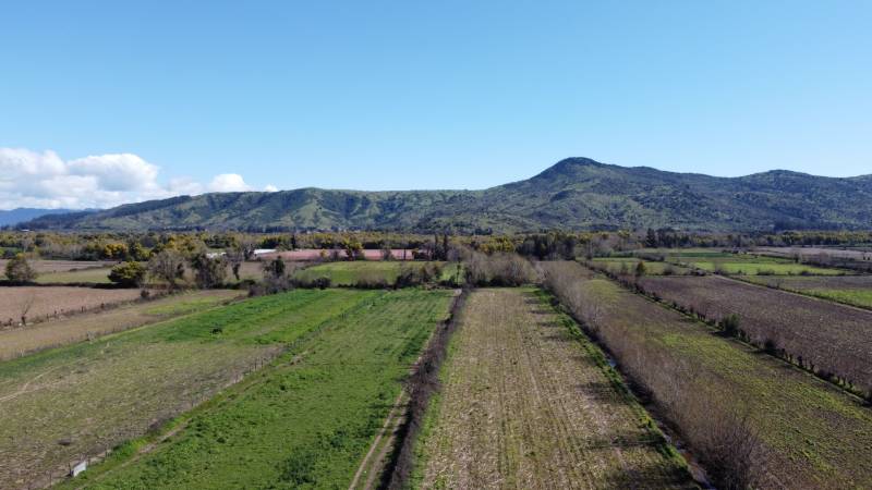 Terreno 10,20 Hectareas en Pleno Centro de Villa Prat