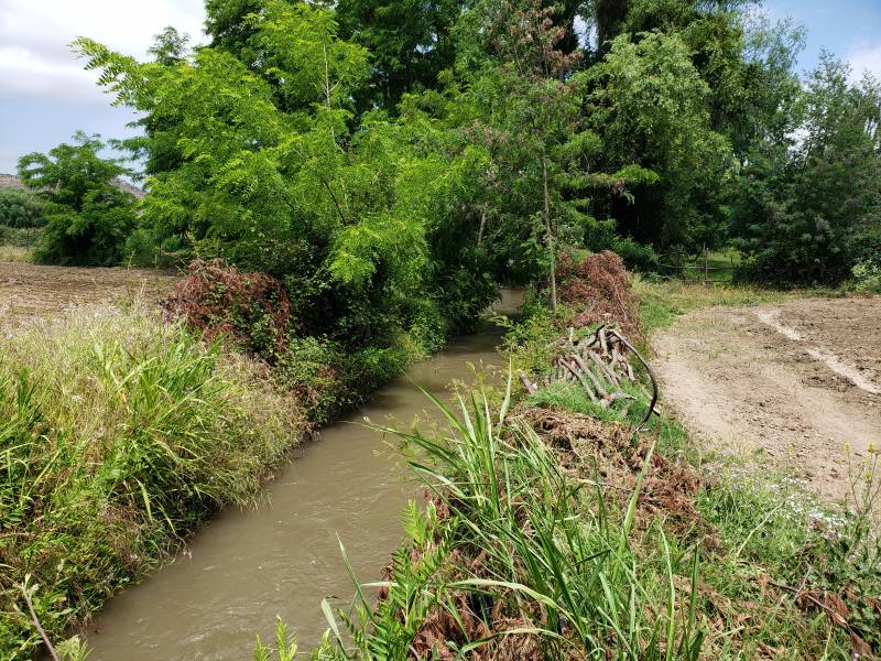 Terreno 10,20 Hectareas en Pleno Centro de Villa Prat