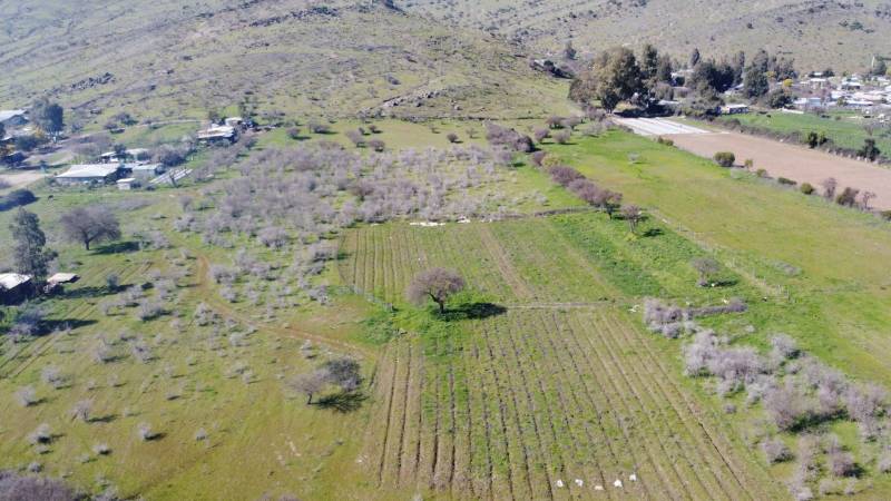 Terreno 10,20 Hectareas en Pleno Centro de Villa Prat