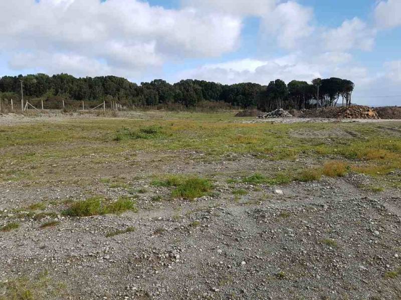 Terreno Industrial 15.000 Mts2 A Orilla de Carretera Ancud