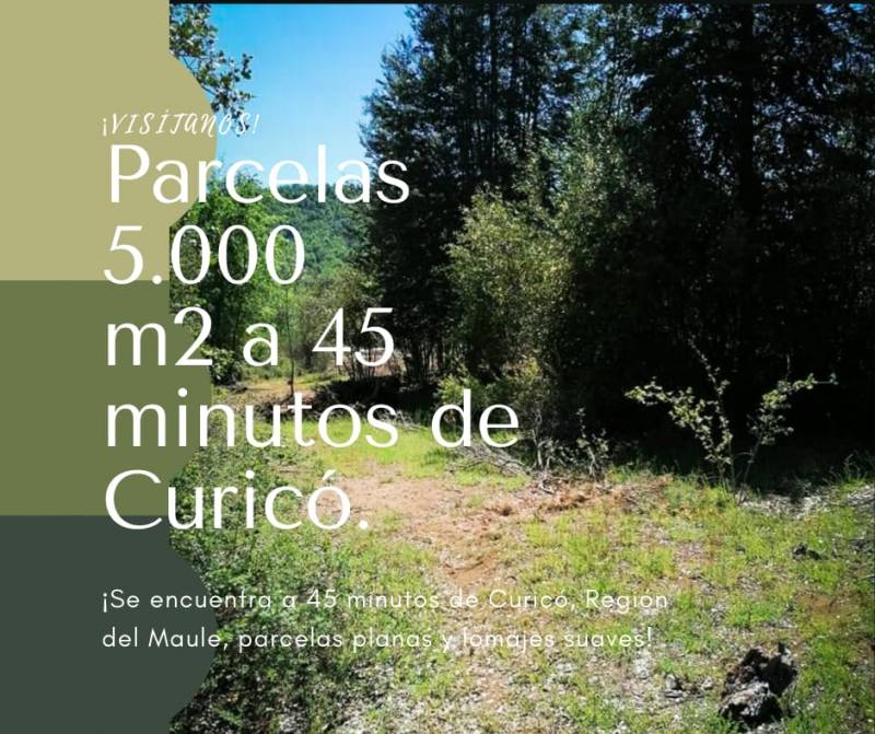 Parcelas a 45 km de Curicó, Región del Maule.