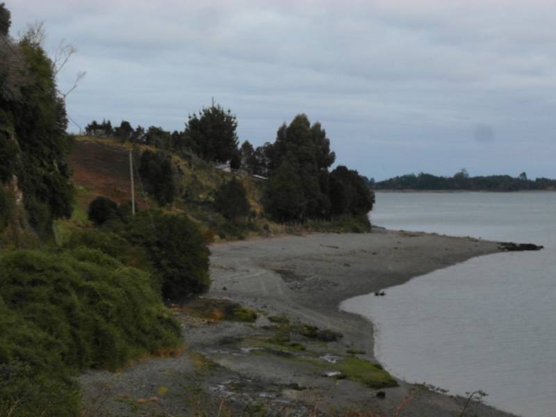 410 metros de Orilla de Playa Isla Taucolón Chiloé.