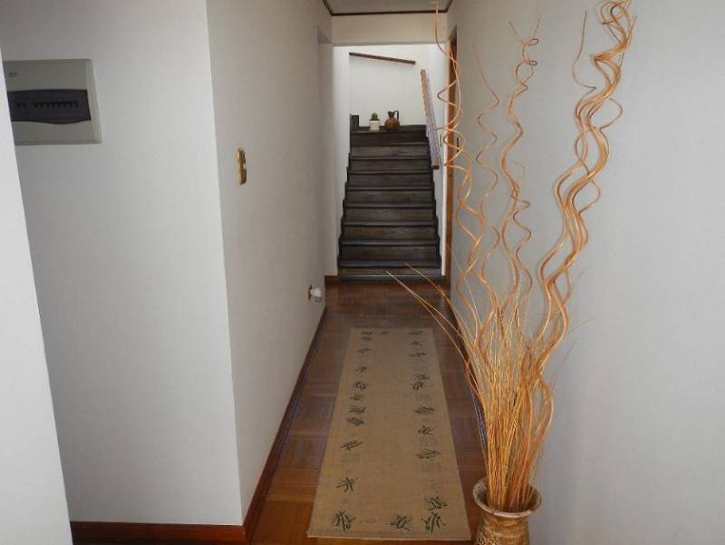 Casa Areyuna, Villa los Hibiscus