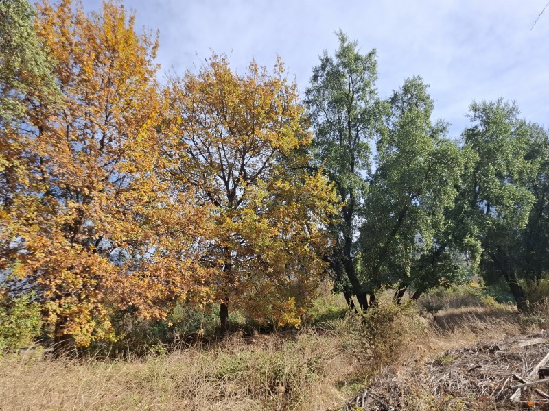 Parcela en Arriendo Cercana Al Monticello - Vistas - Agua