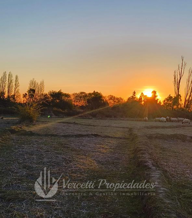 ¡oportunidad! Se Vende Campo de 15 Hectáreas