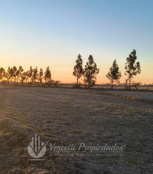 ¡oportunidad! Se Vende Campo de 15 Hectáreas