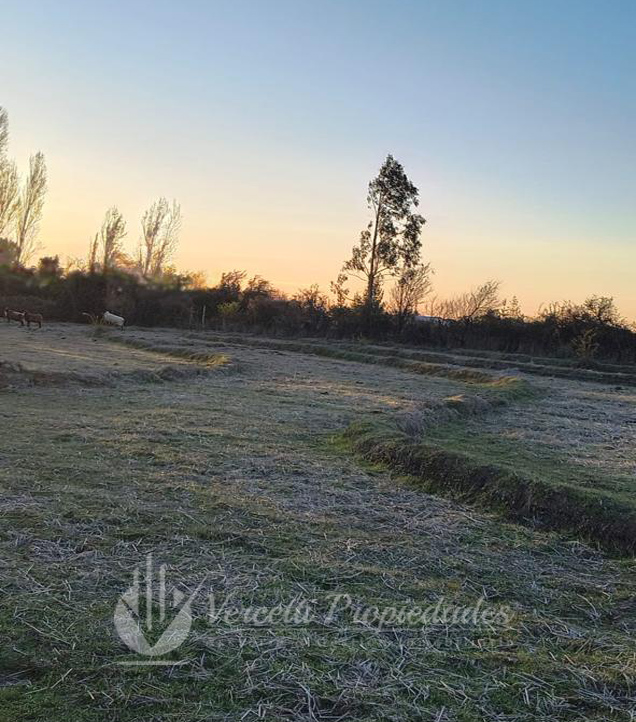 ¡oportunidad! Se Vende Campo de 15 Hectáreas