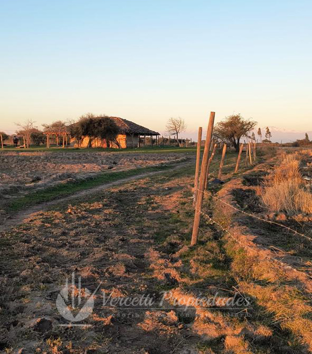 ¡oportunidad! Se Vende Campo de 15 Hectáreas