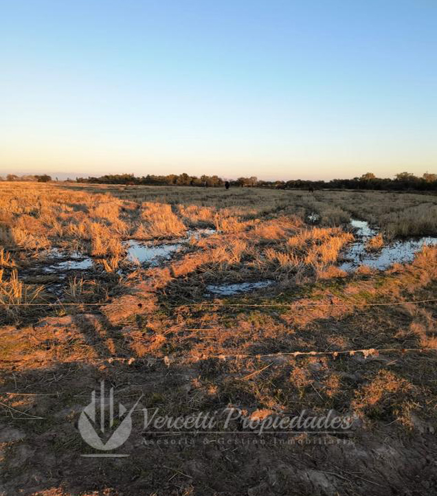 ¡oportunidad! Se Vende Campo de 15 Hectáreas