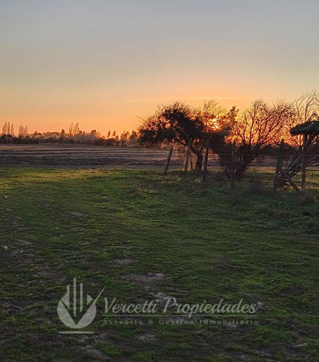 ¡oportunidad! Se Vende Campo de 15 Hectáreas