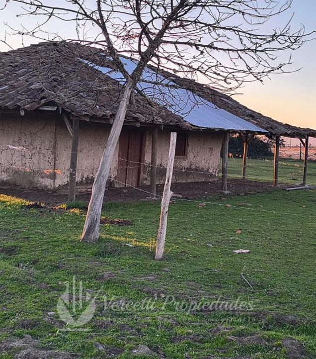 ¡oportunidad! Se Vende Campo de 15 Hectáreas