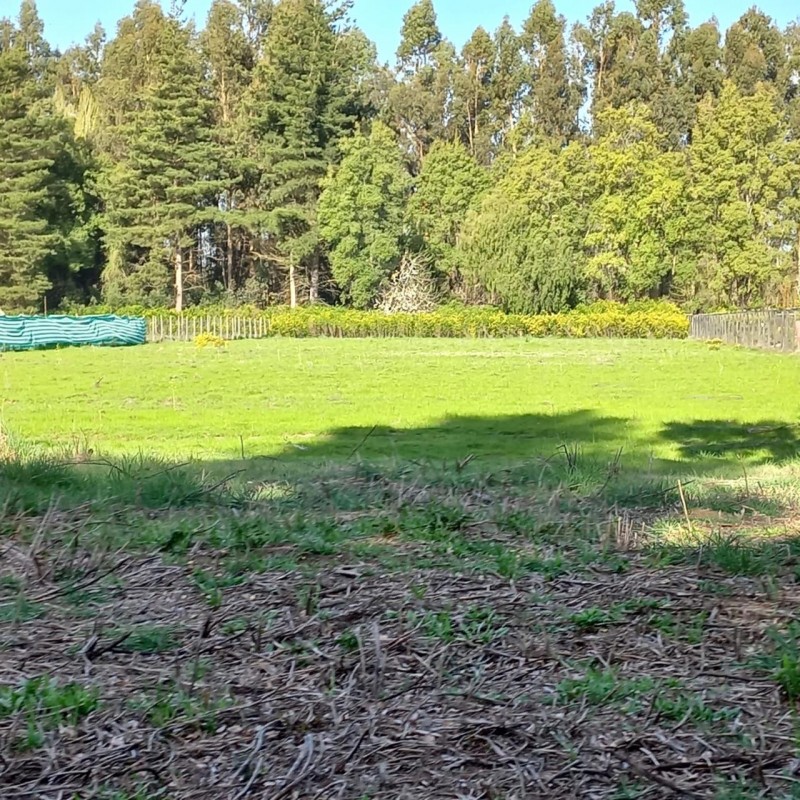 Parcela en Chacayal Norte, los Ángeles