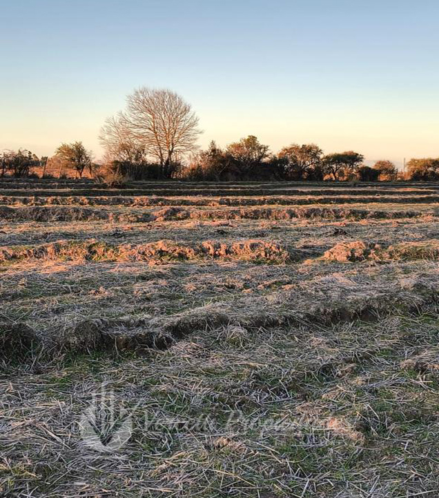 ¡oportunidad! Se Vende Campo de 15 Hectáreas