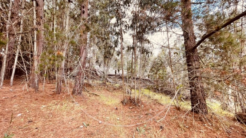 Parcela en las Petrillas, Algarrobo
