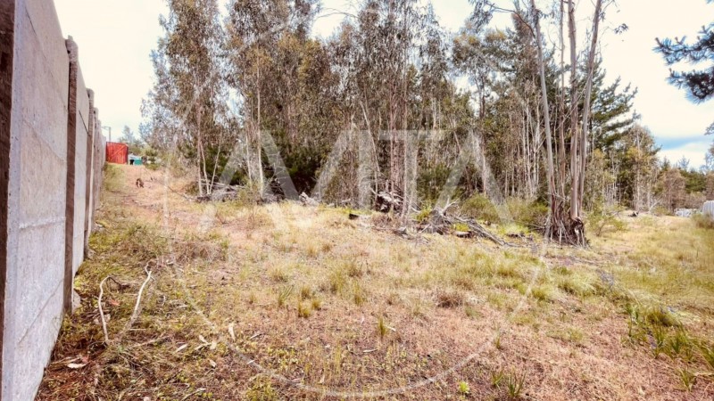Parcela en las Petrillas, Algarrobo