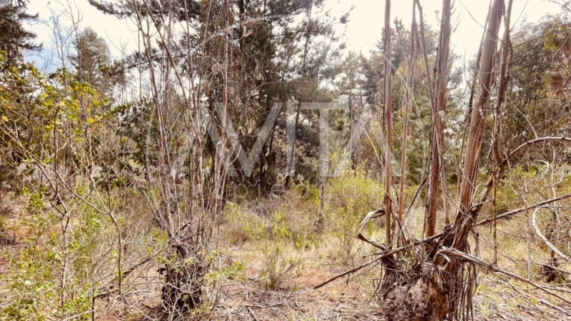 Parcela en las Petrillas, Algarrobo