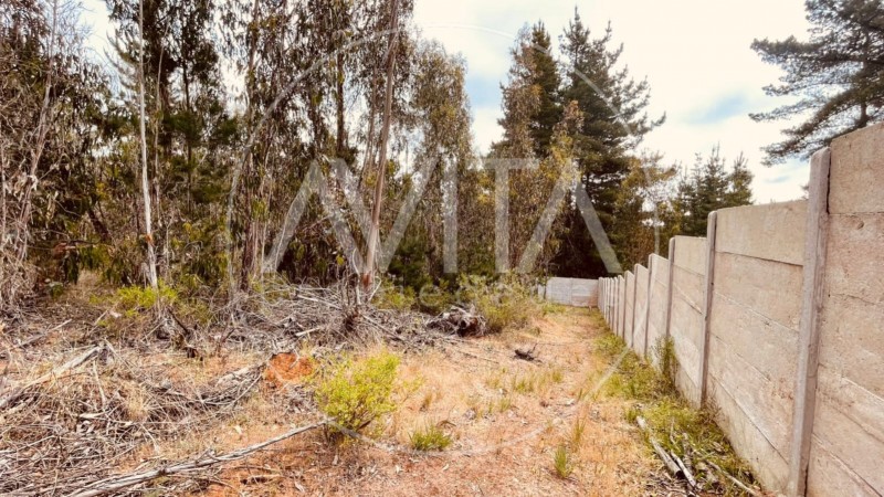 Parcela en las Petrillas, Algarrobo