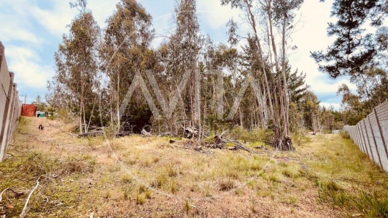 Parcela en las Petrillas, Algarrobo