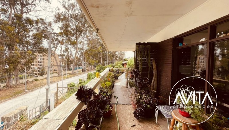 Casas en Venta en José Toribio Larraín, Centro de Algarrobo,